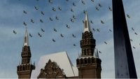 La gran batalla del Boroshi y el amor