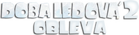 Logo 13