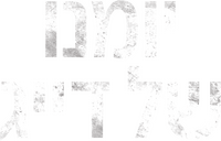 Logo 13