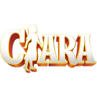 Logo 1