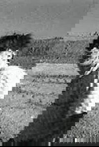 Attack of the Undead