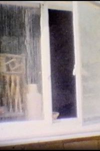 Poster for Dowager Hunter-Gatherer