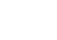 Logo 55