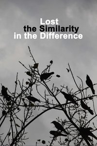 Poster for Lost the Similarity in the Difference