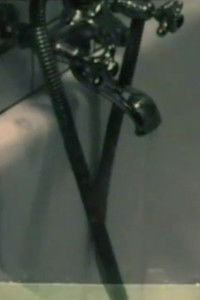 Man & Woman & Animal