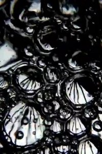 Dark