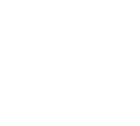 Logo 25
