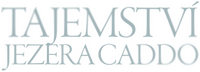 Logo 6