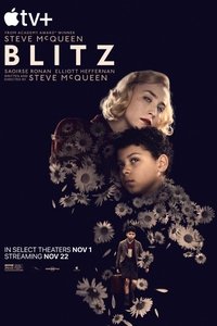Poster 13