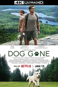 Poster 23