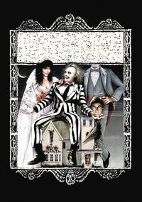 Poster 113