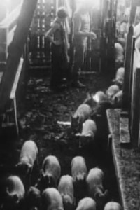 Poster for Baby in a Rage