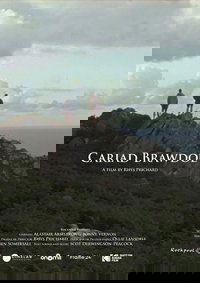 Cariad Brawdol