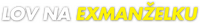 Logo 13