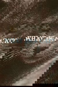 What Is a Cat?