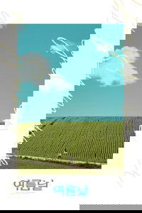 Days in a Summer