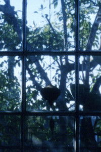 Poster for Object Permanence