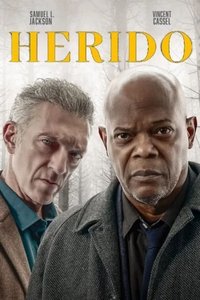 Poster 13