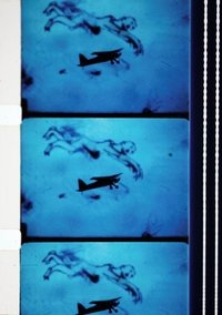 Poster for Fluke