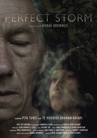 Poster for Perfect Storm