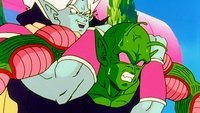 La lucha contra Piccolo