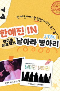 Poster for 날아라 병아리