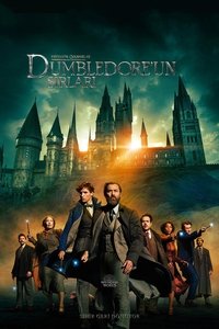 Poster 362