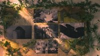 Backdrop 5