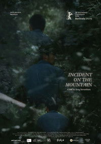 Poster for Incident on the Mountain