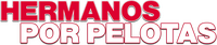 Logo 13