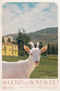Poster for The Goats of Monesiglio