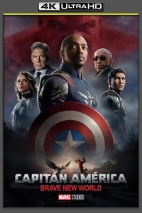 Poster 311
