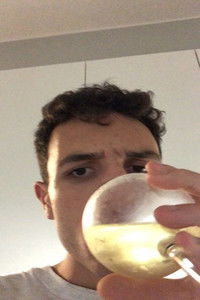 Profile of Lorenzo Pedrazzi