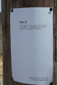 Wandering Notes