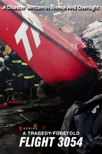 Poster for A Tragedy Foretold: Flight 3054