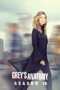 Greys Anatomy Season 16 poster