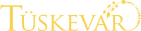 Logo 1