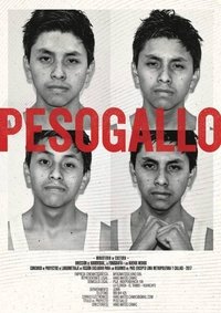 Poster 1