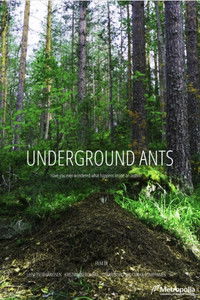 Poster for Underground Ants