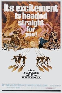 Poster 17