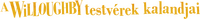Logo 2