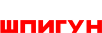 Logo 13