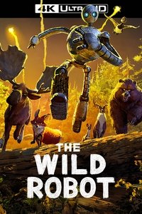 Poster 238