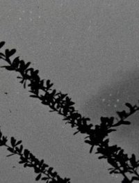 The things that stand the test of time