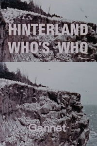 Poster for Hinterland Who's Who: Gannet