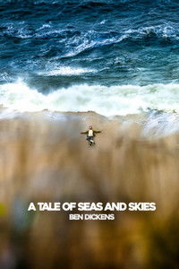 Poster for A Tale of Seas and Skies
