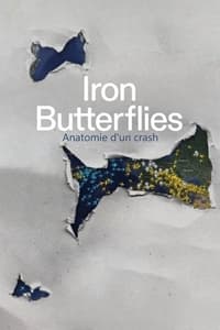 poster Iron Butterflies - Anatomie d'un crash
