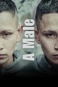 Poster 6