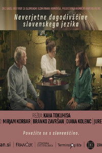 Poster for Incredible Adventures of the Slovenian Language