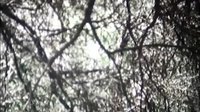 Backdrop 3